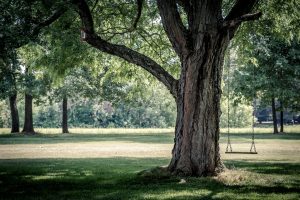 Lessons learned in lockdown for your business and life
