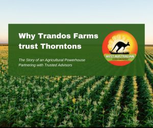 Why Trandos Farms Trust Thorntons: The Story of an Agricultural Powerhouse Partnering with Trusted Advisors