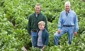 Why Multi-Generational Family Businesses Struggle with Succession Planning