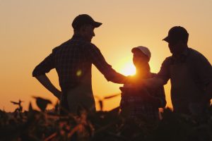 Why “Business as Usual” Is Not Enough for Family Business Structures
