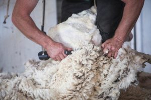 A Lifetime on the Land: Six Decades of Farming, Family, and Trusted Advice      From a Childhood in Dardanup to a Lifetime in Agribusiness